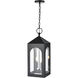 Bratton 2 Light 8.5 inch Powder Coated Black Outdoor Hanging Lantern